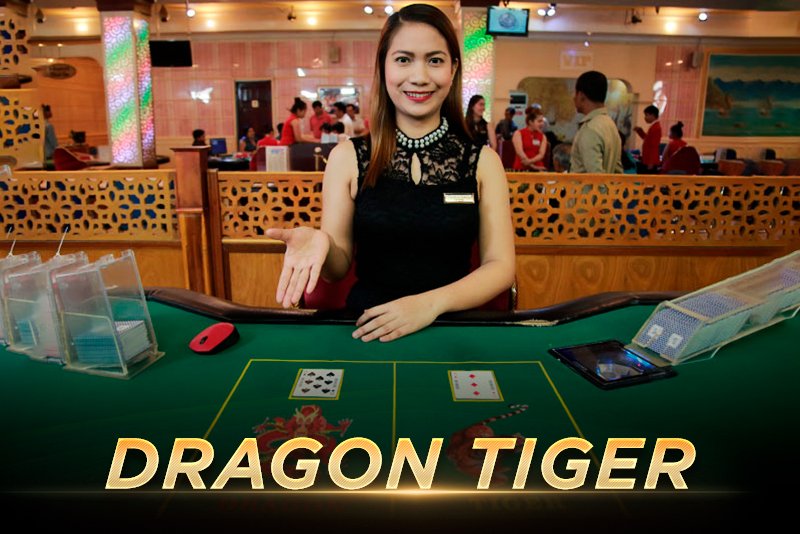 DRAGON TIGER
